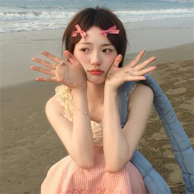 沙鸥